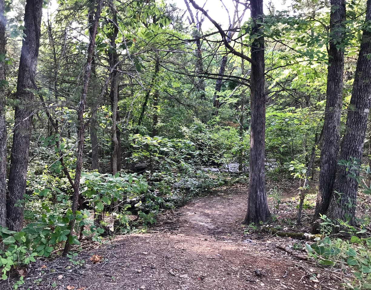 View from back of house - nature trail and creek