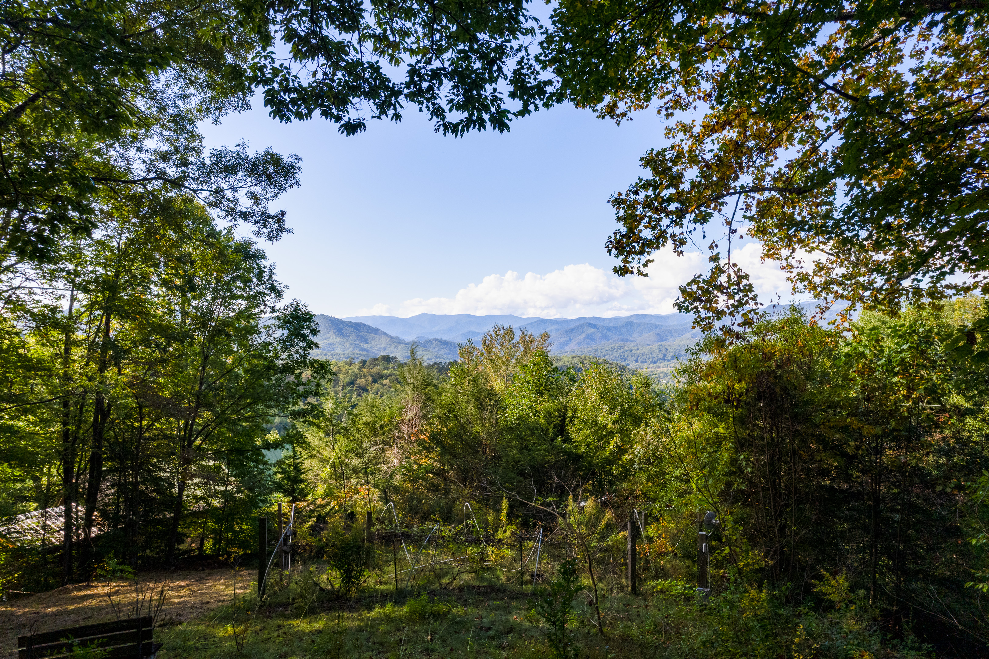 Views from the porch and fire pit area!