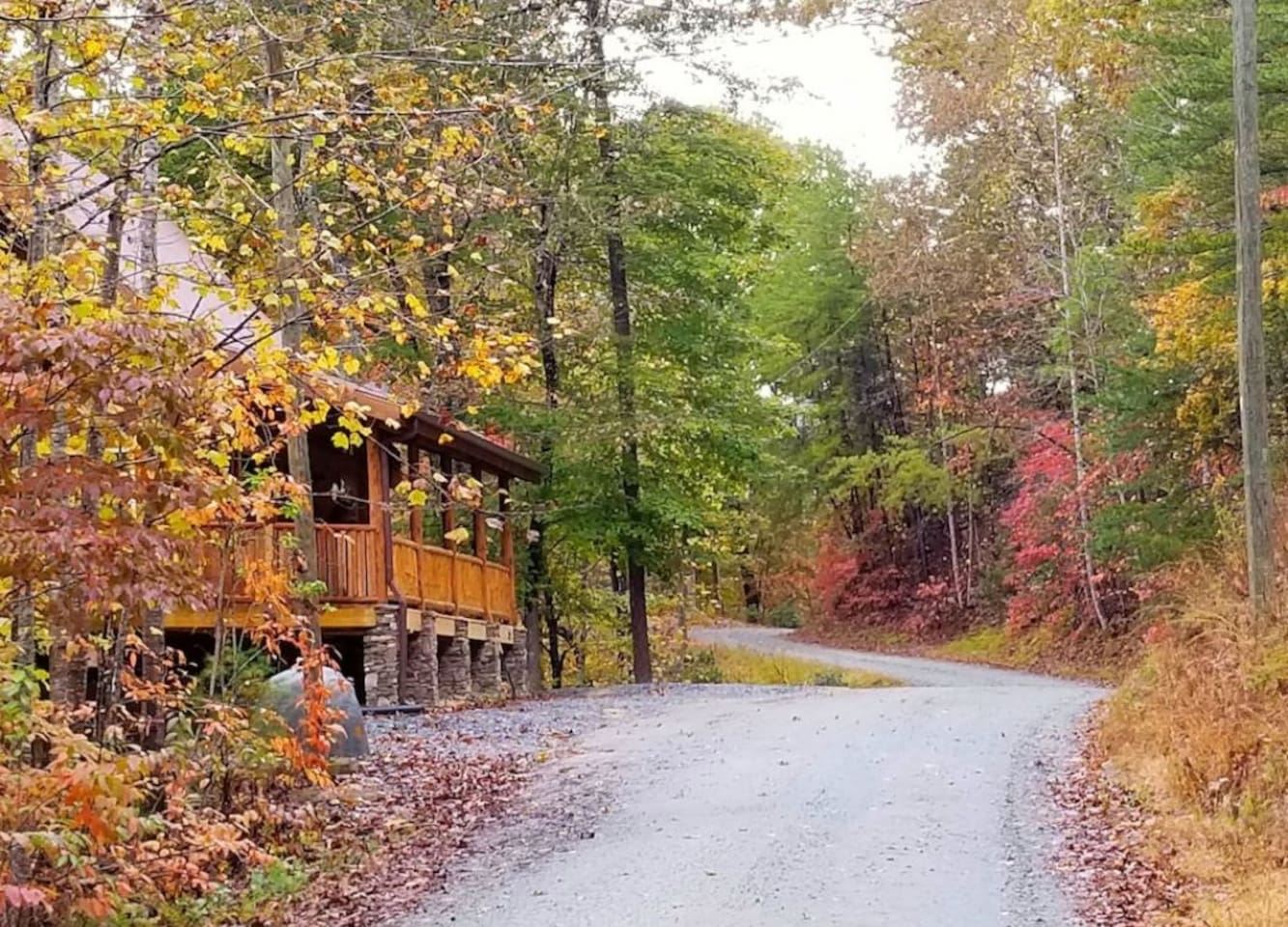 Cabin