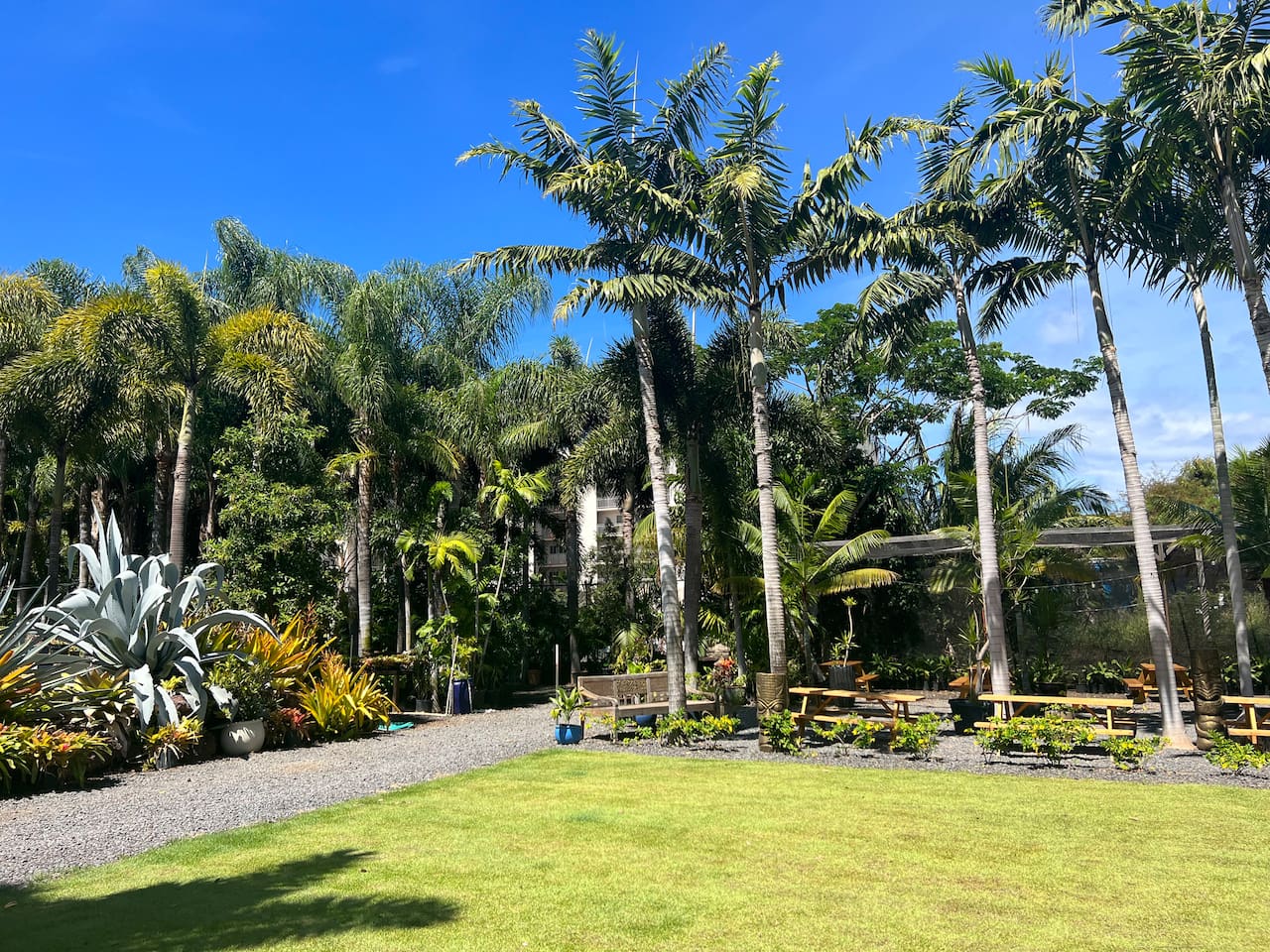 Backyard