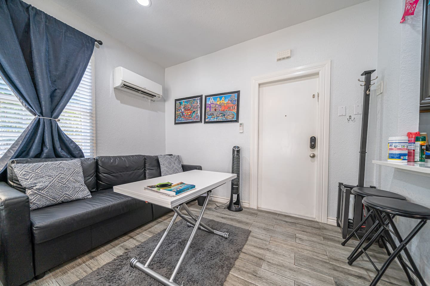 Living area and Mini Split AC
