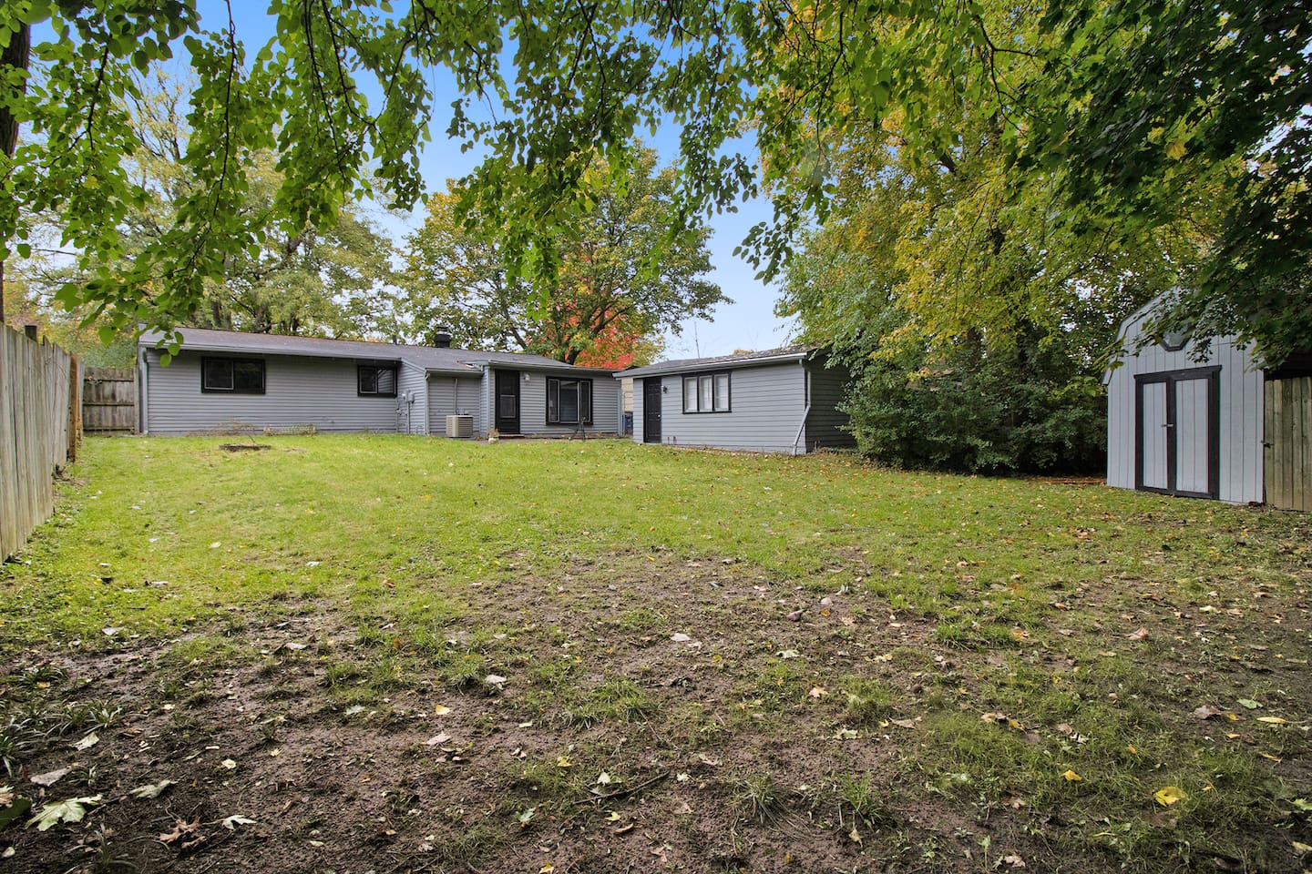 Backyard/Shed