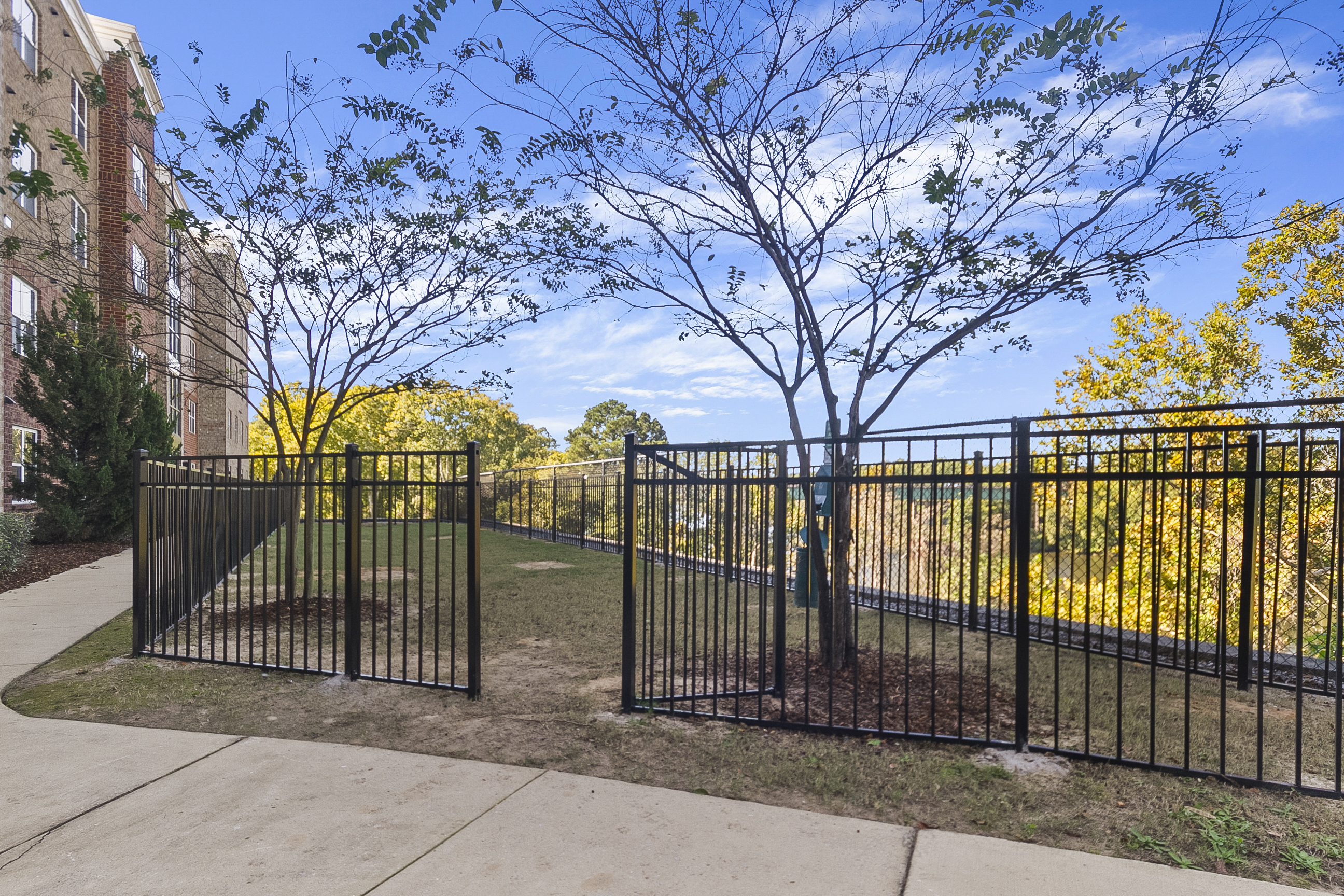 Dog Park Area
