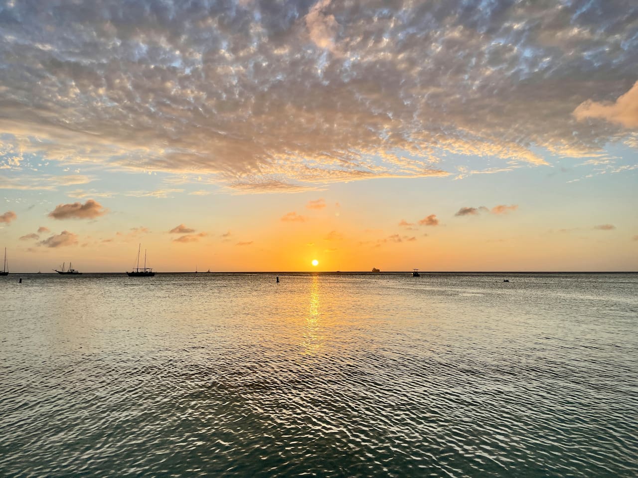 Sunsets on Palm Beach!  Maybe go for a Sunset Catamaran Sail?