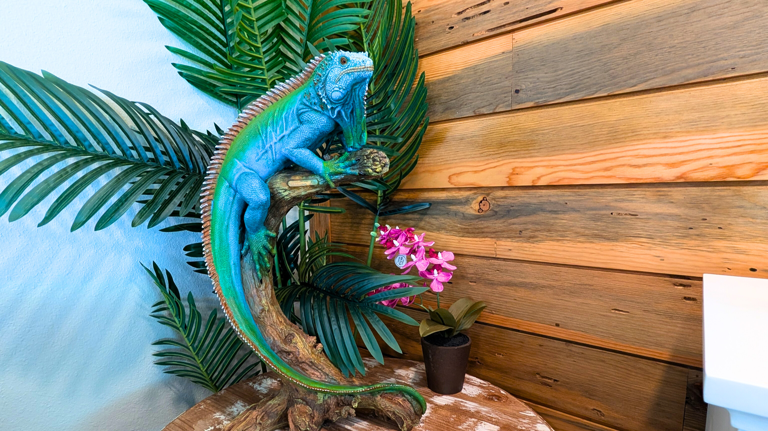 Fun and funky decor!