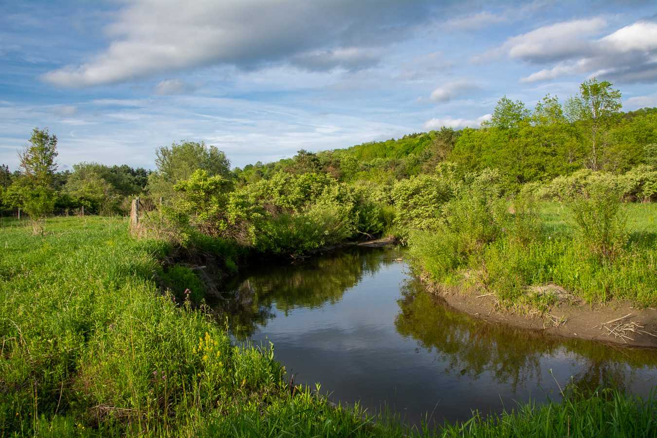Cloverleaf Farm Red Creek borders the east line of the property.