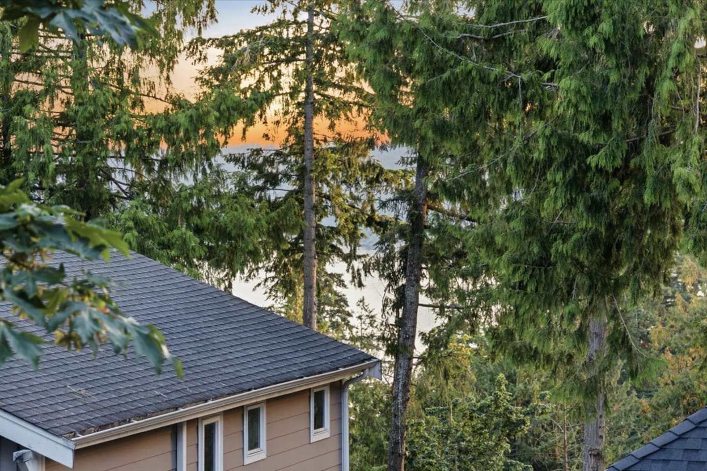 Lake Sammamish Peek-a-boo view