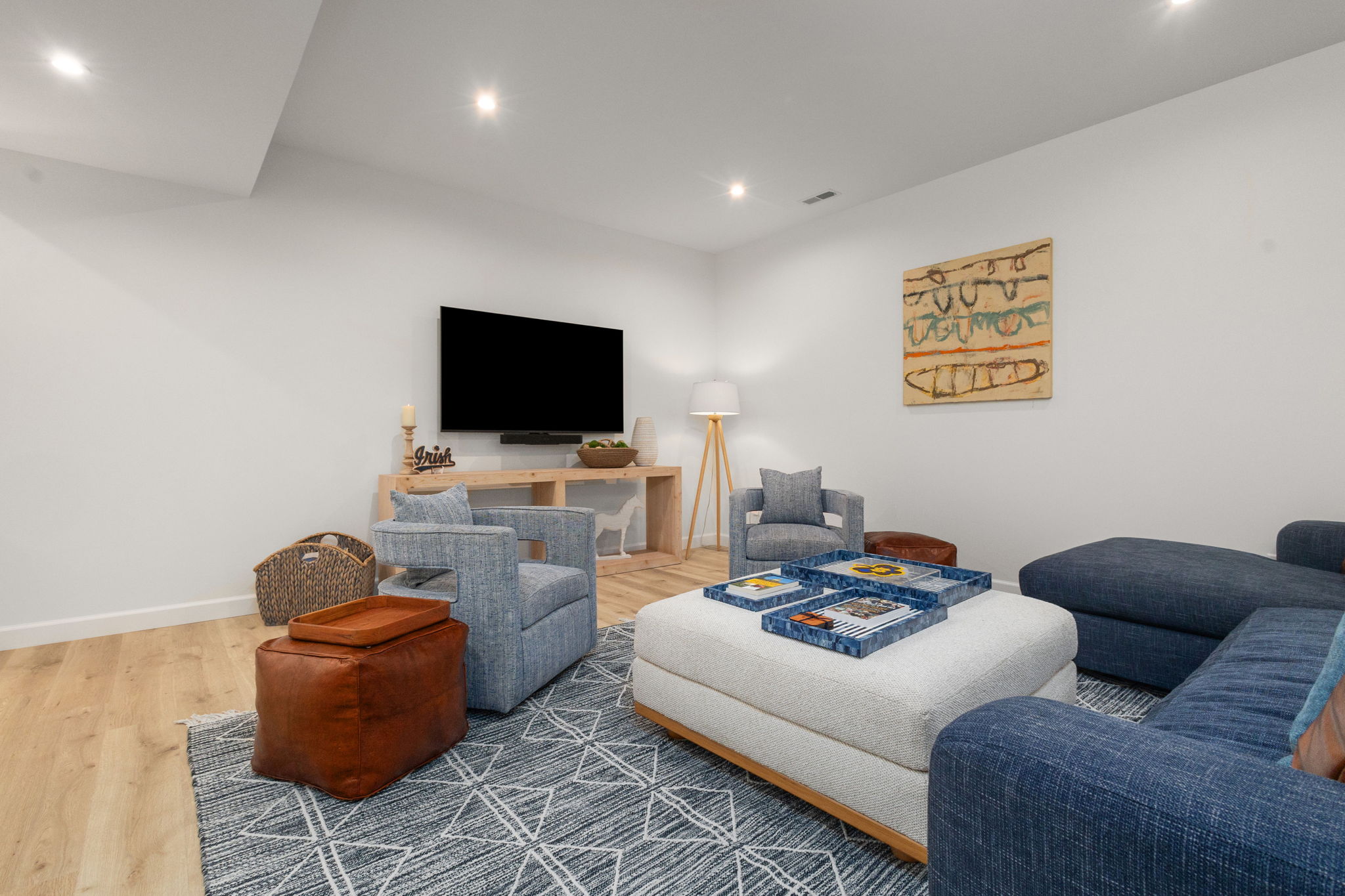 Basement Living Room