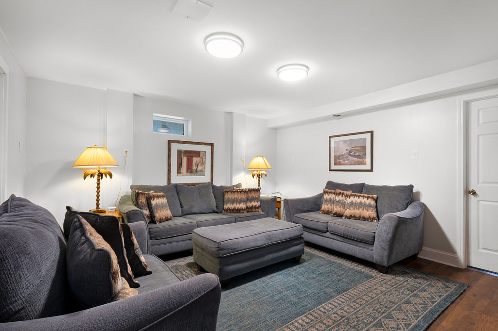 Bonus Downstairs TV Room. Send the kids, big and small, to this room for movies or video games they may have brought.