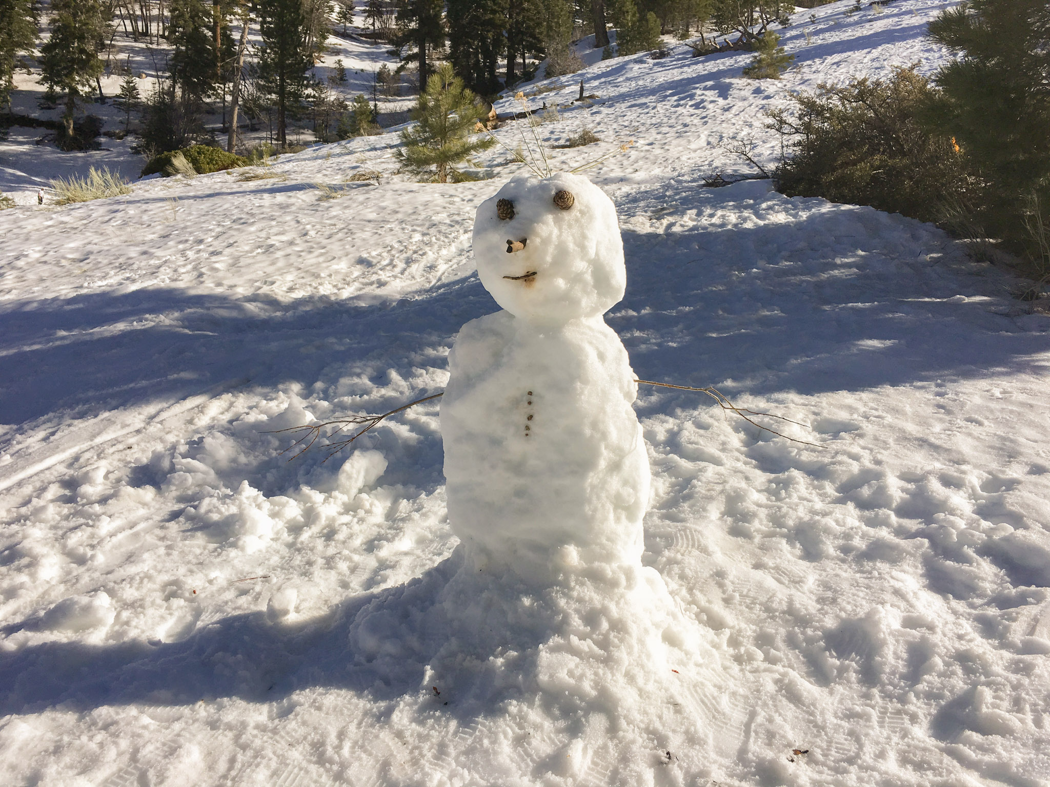 let your inner child out and build a snowman