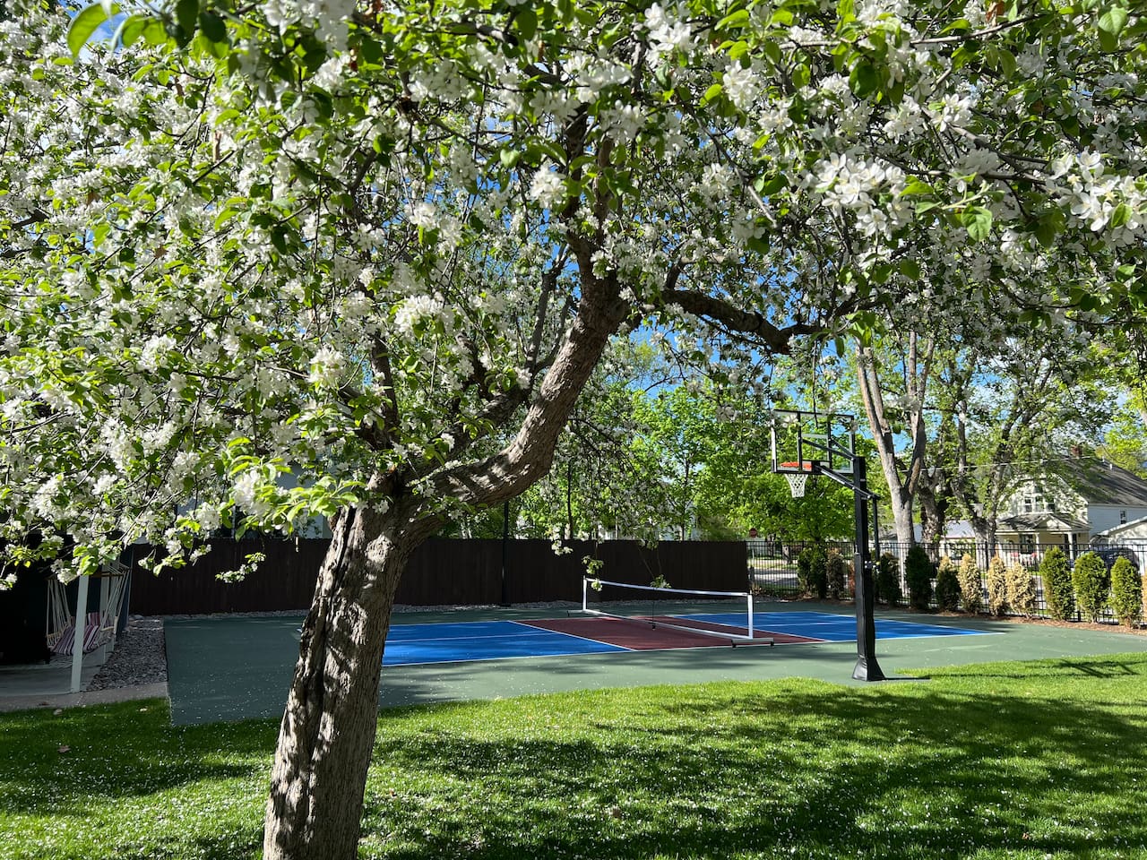 Your own basketball and pickleball courts with night lighting. Paddles and balls provided. Find out why everyone loves pickleball!