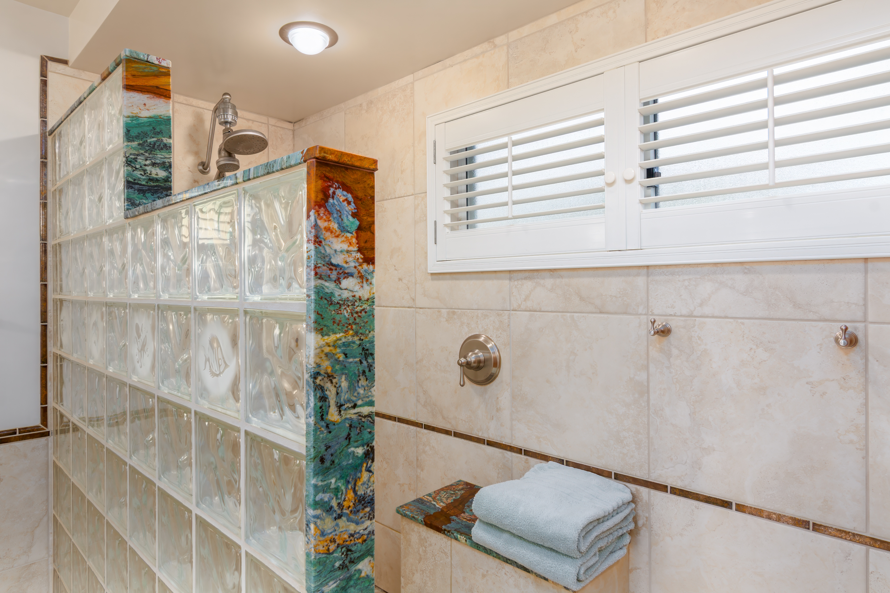 Master Bath Shower