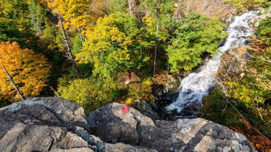 The White Oak Canyon Trail