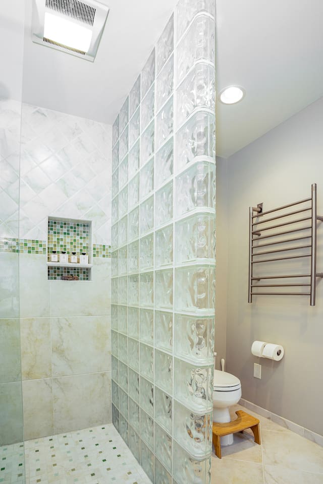 Primary bathroom with walk-in shower.