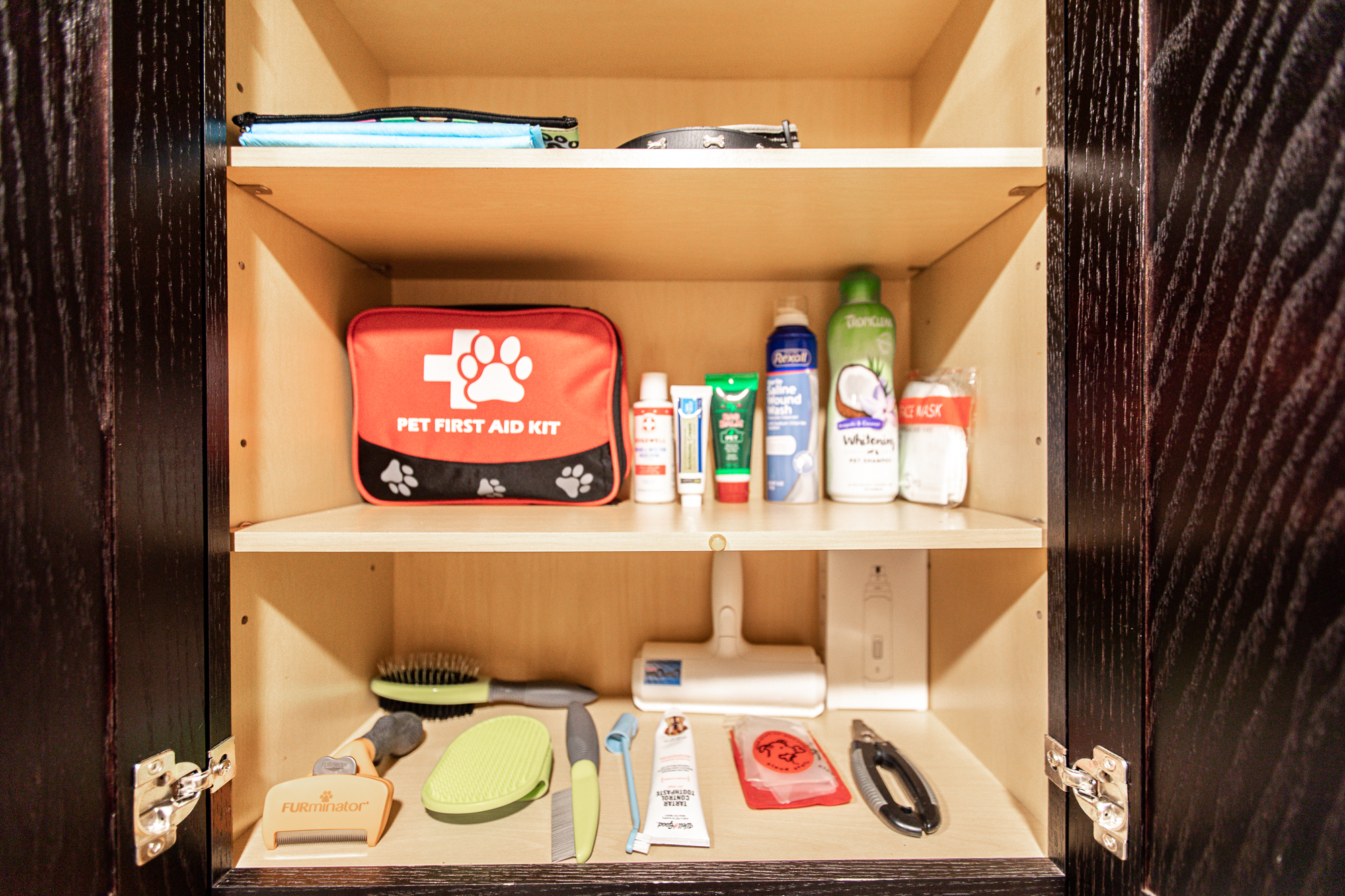 Dog Essentials