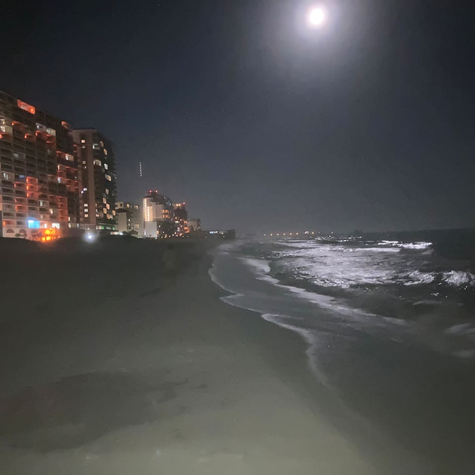 Anyone for a night walk?