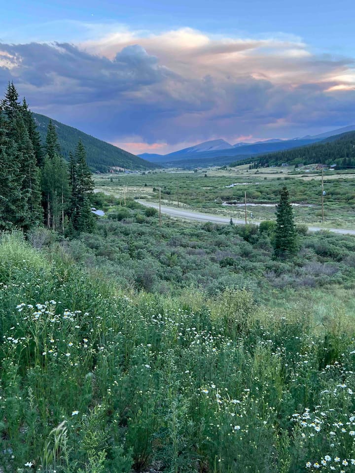 Dusk from the deck. Wildflowers, mountain views, sunsets and sunrises. 