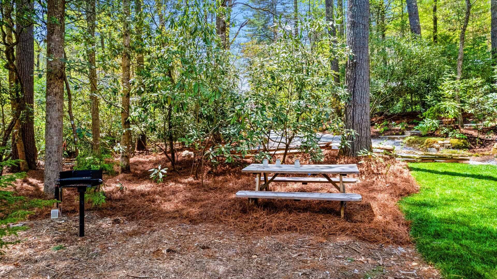 The park grill and picnic table rekindles a feeling of old-style camping.
