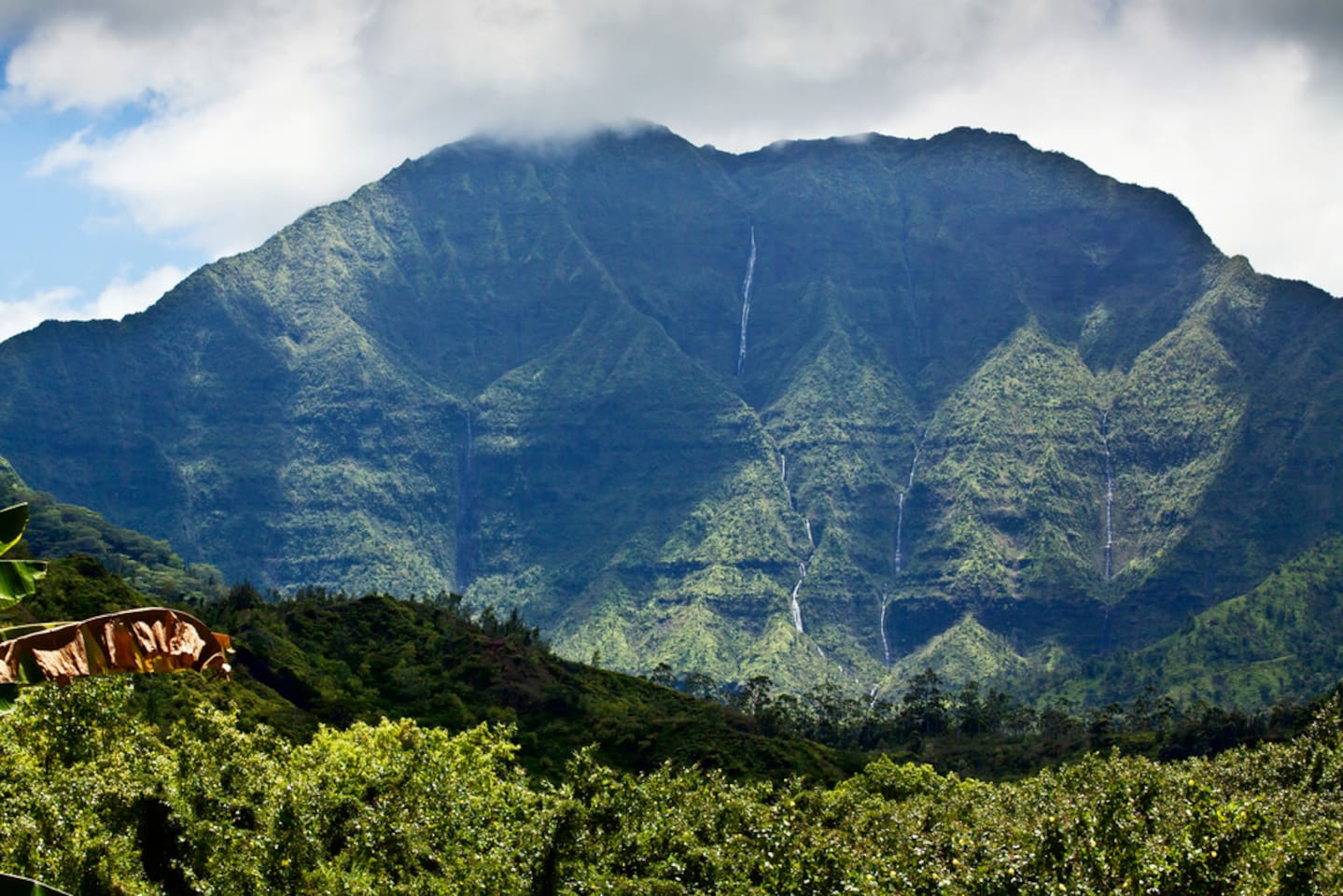 View from front yard.