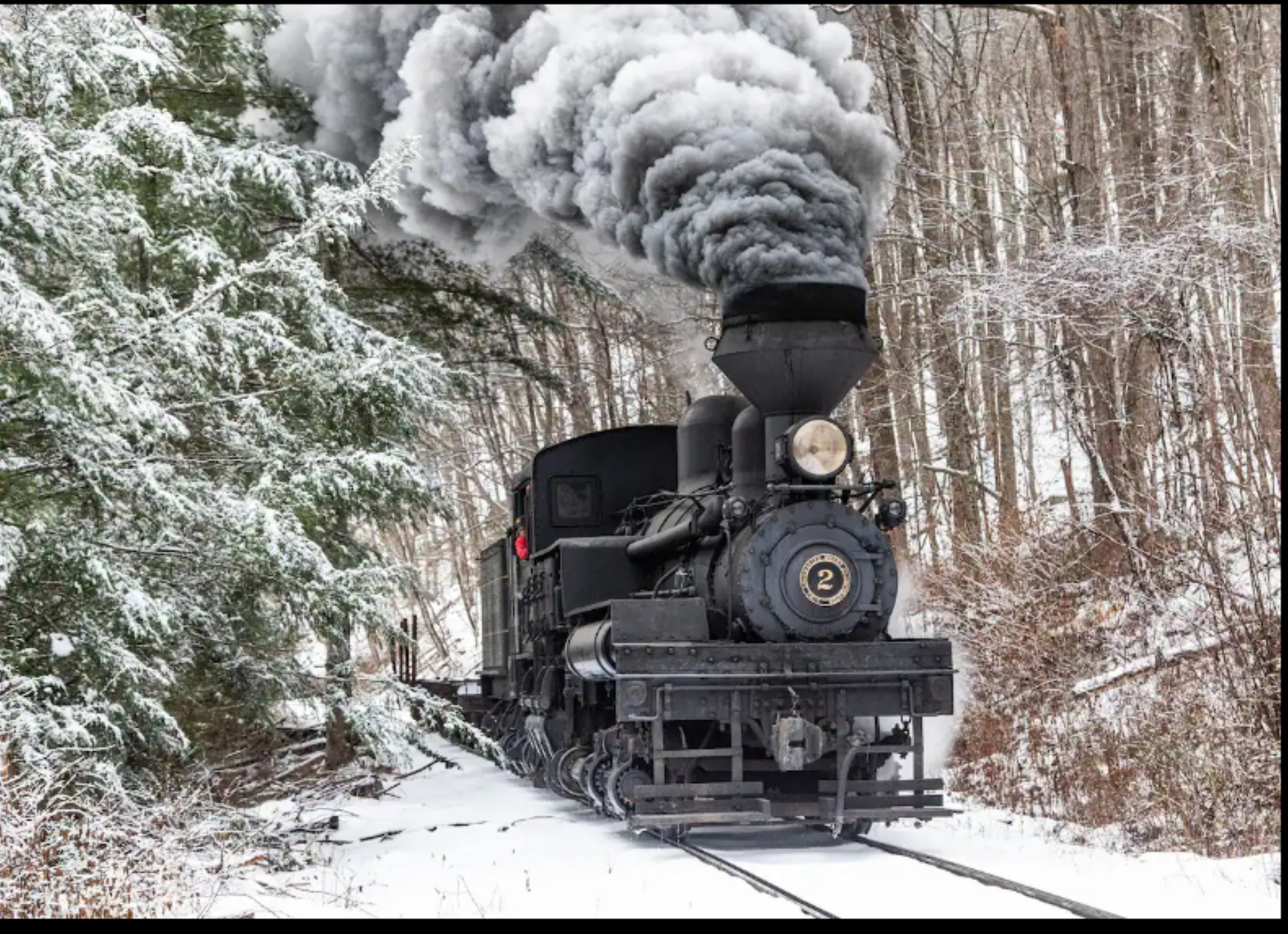 Highland House · Unit 314 — Mountain Train