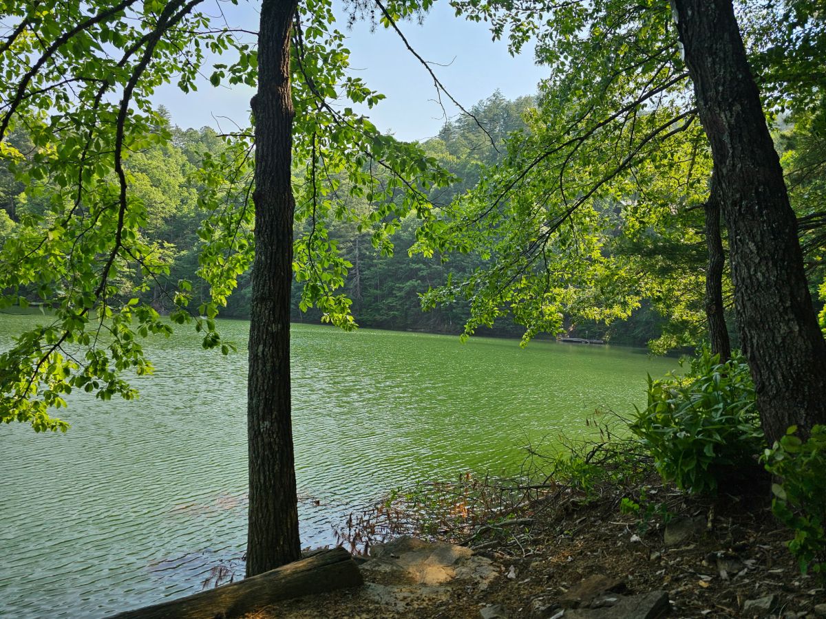 Serene Lakeview: Breathe in the tranquility while lounging by your private nature escape!