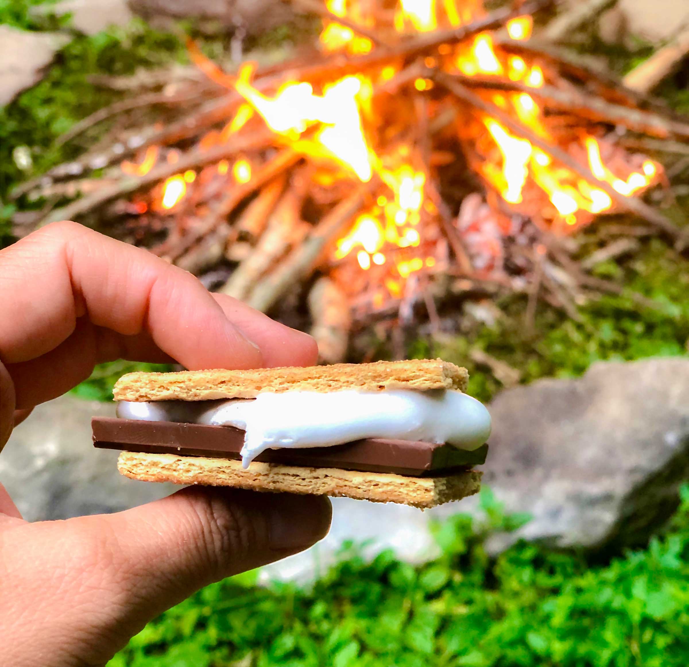 roasting marshmallows is a favorite at the cabin!
