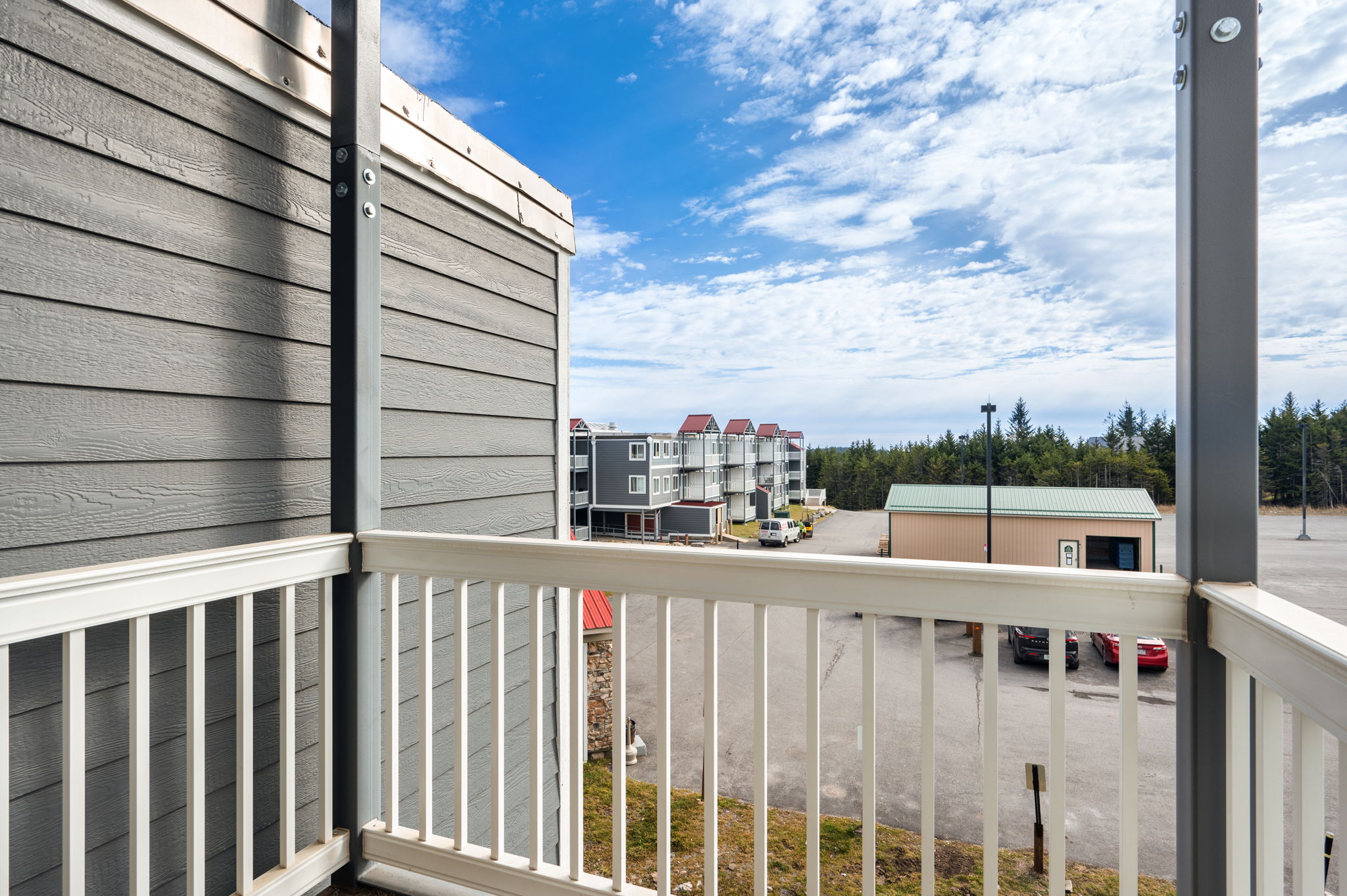 Snowshoe Ski-In/Ski-Out Steps to Ballhooter Lift Mountain Lodge Condo 6