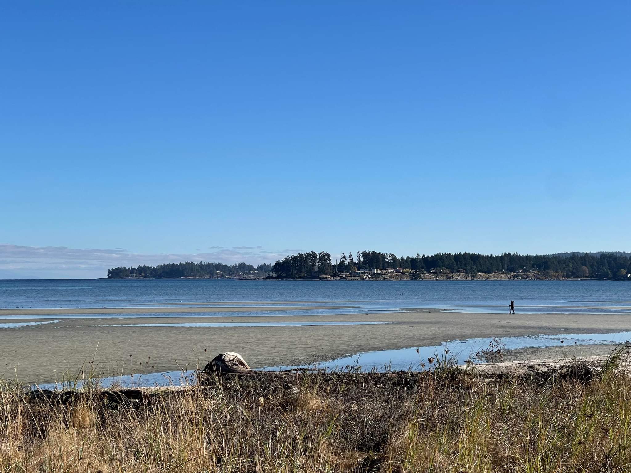 Beach behind the Resort. Beach access.