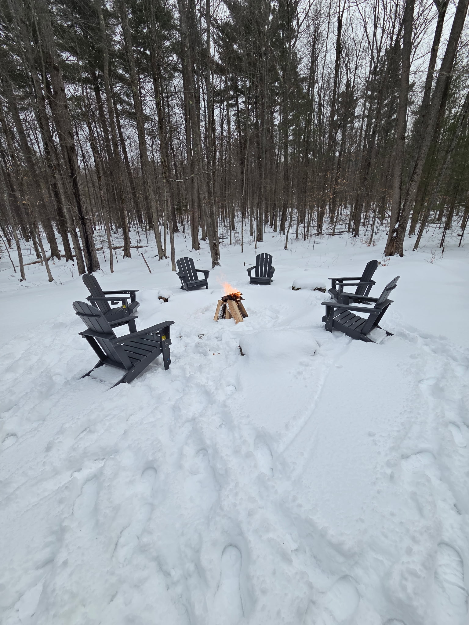 Outdoor fire pit to enjoy with friends and family, surrounded by the beautiful Adirondack nature