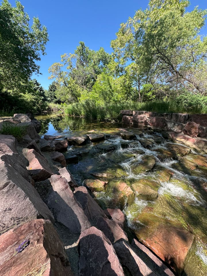 Big Dry Creek and the High Line Canal Trail are a minute away directly across from our neighborhood at DeKoevend Park.  