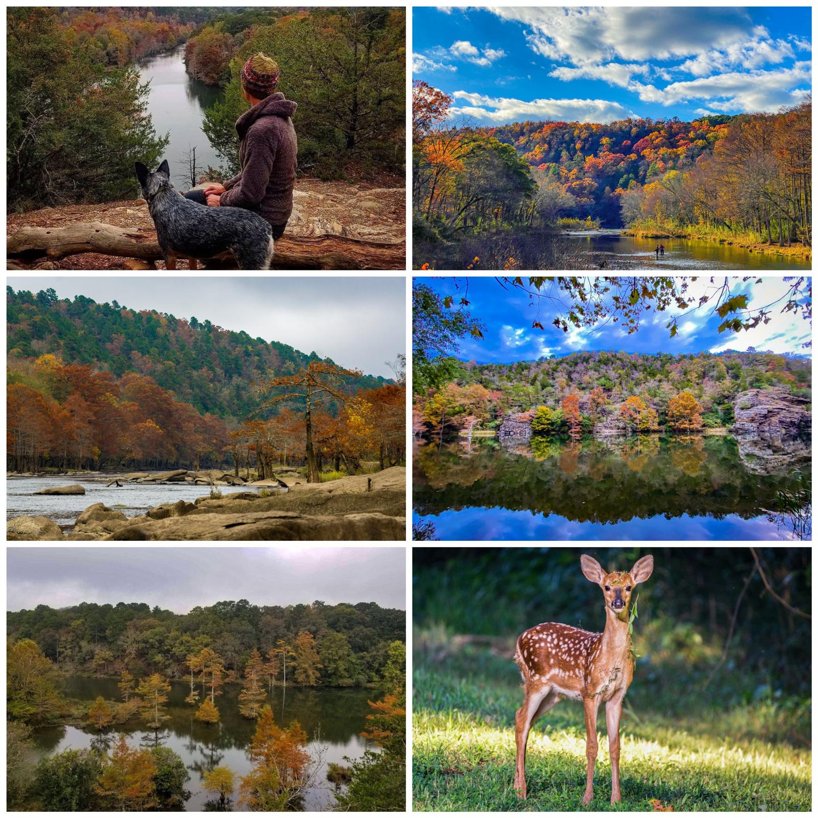 Discover the crisp air & vibrant colors await at Beavers Bend, Mountain Fork River & Broken Bow Lake — just 10 mins from the cabin! Hike, fish, soak in autumn skies and more!