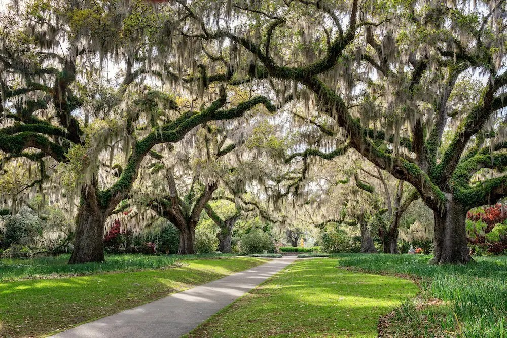 Springtime scene in Bluffton