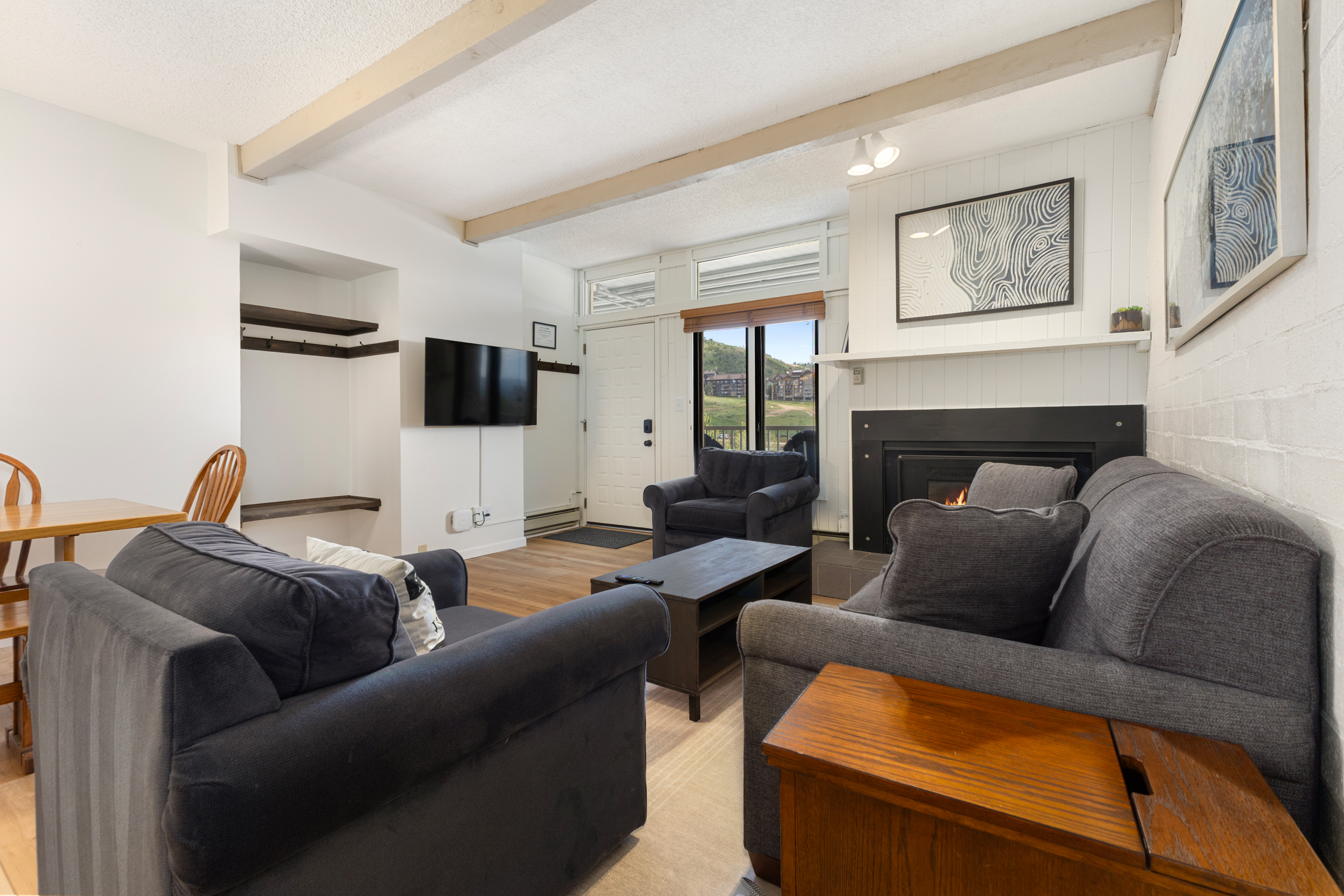 Fireplace | Living Room | Pullout Sofa (Queensize)