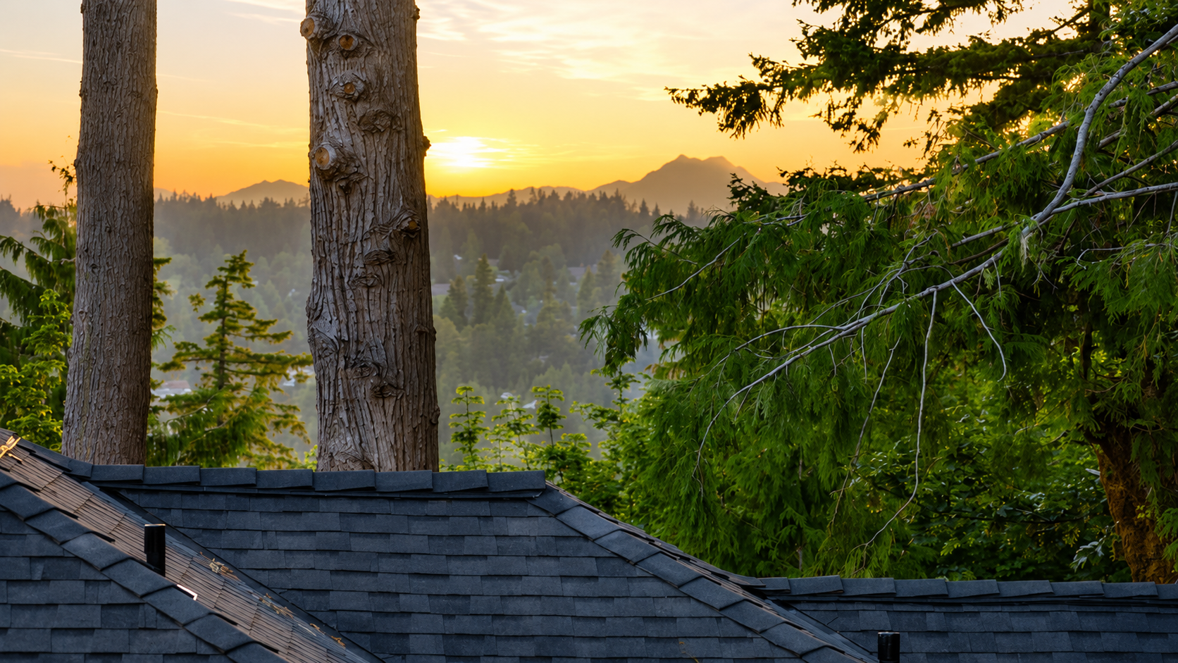 Olympic Mountains view