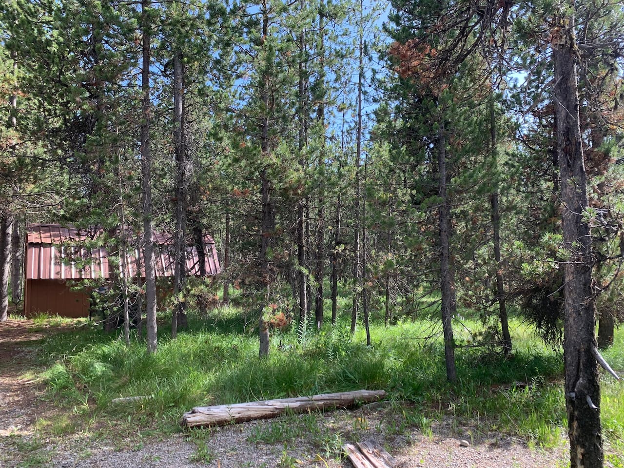 1 Acre Private Surrounding Forest Area