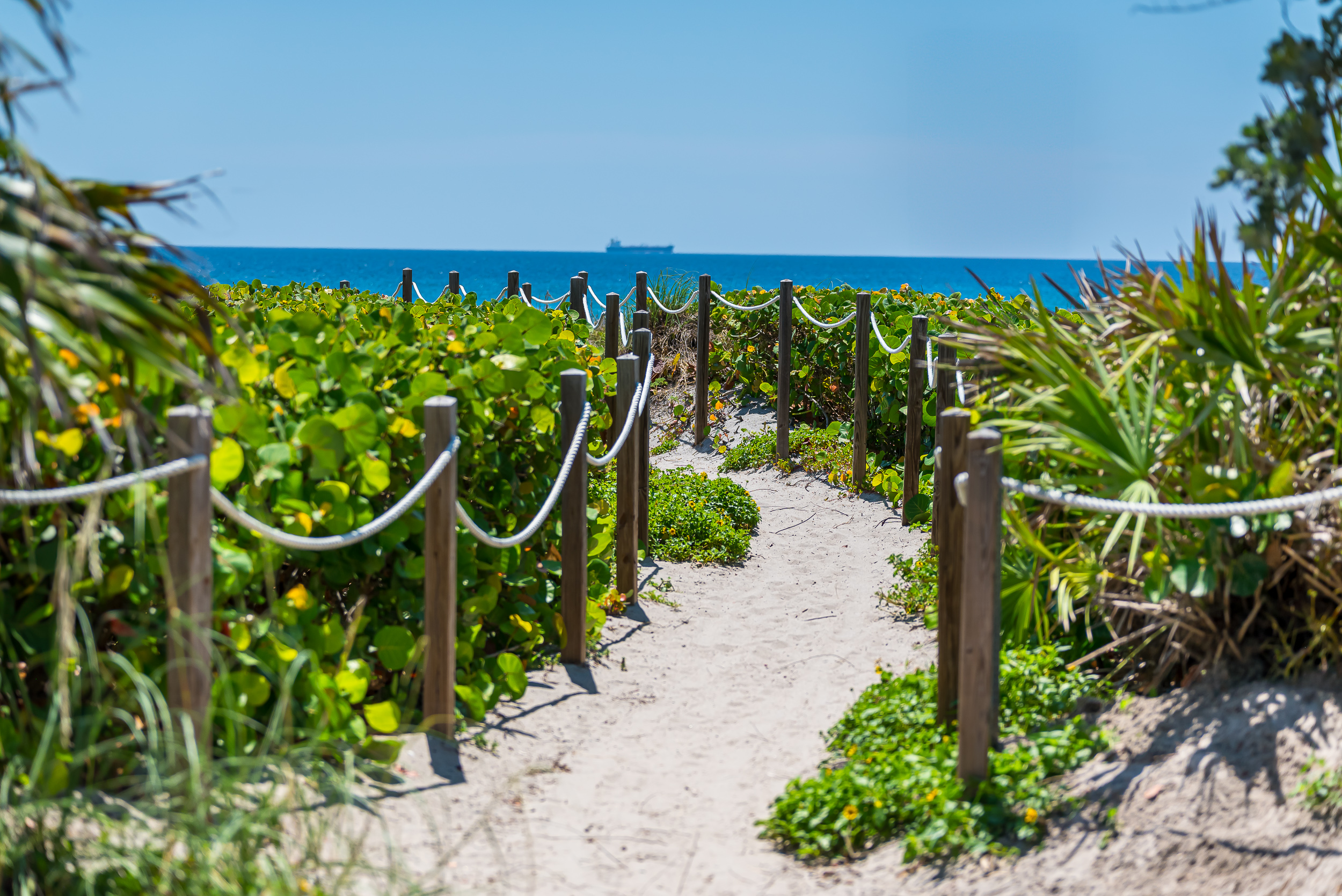 Delray Beach voted best beach in Florida!