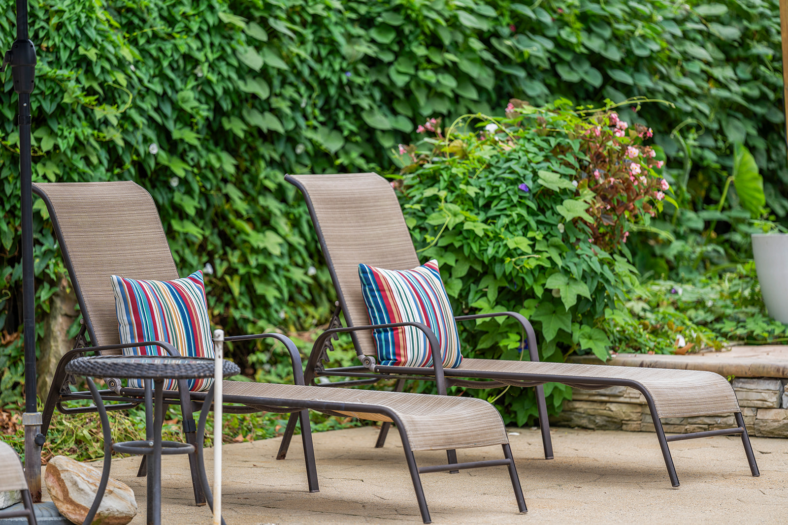 Outdoor Oasis: Unwind on stylish loungers amidst lush greenery and vibrant blooms!