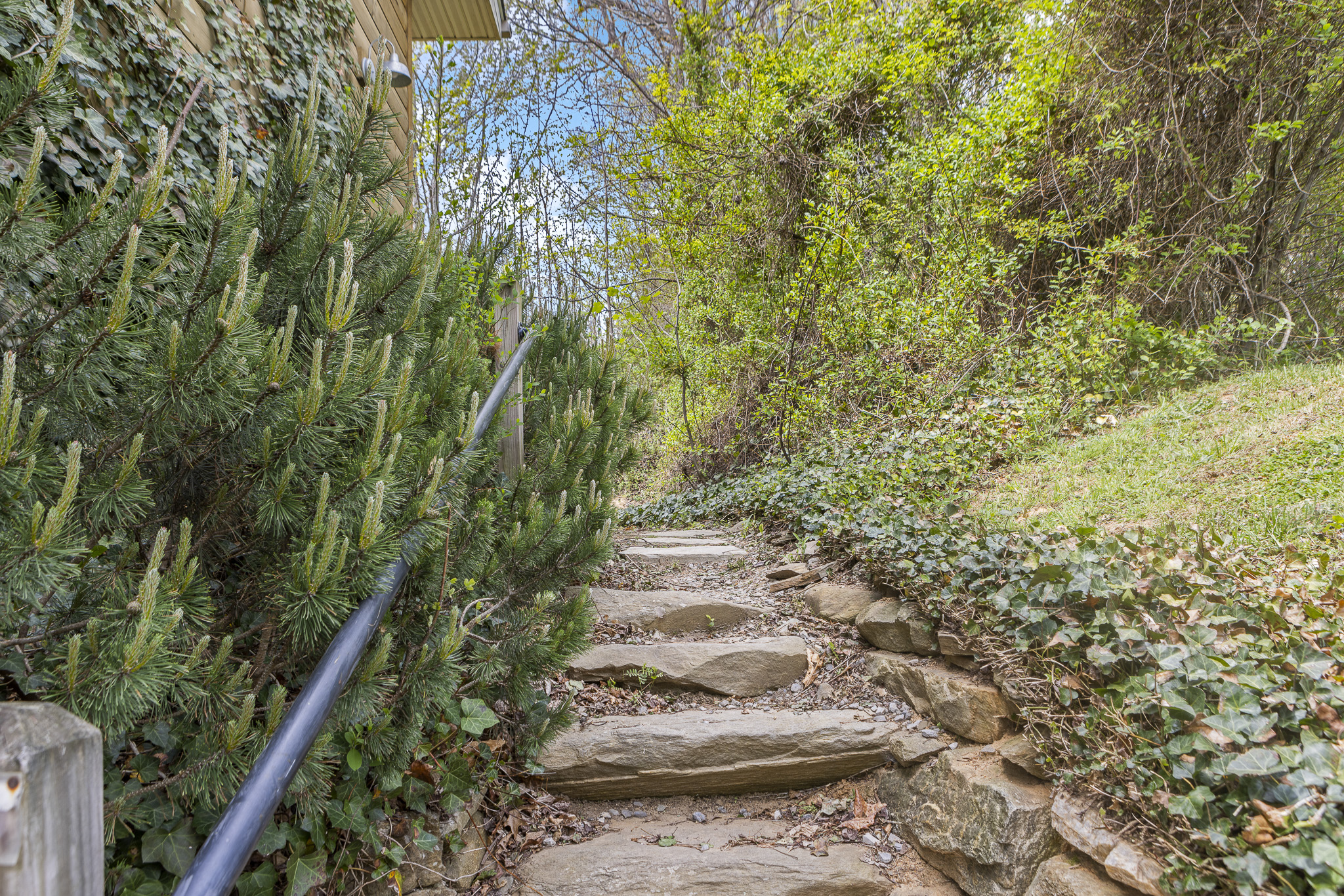 Garden Pathway: Discover nature's embrace as you stroll this charming stone pathway!

