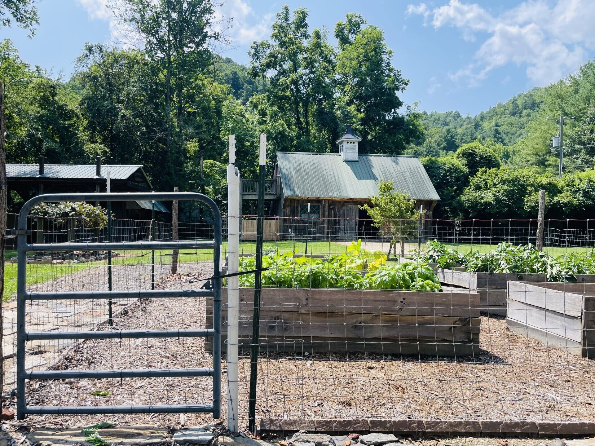 The vegetable garden is fenced as you will often see deer around the property