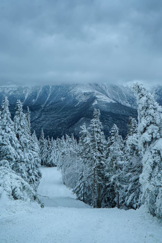 Breath taking view from Wildcat Ski Mountain! 