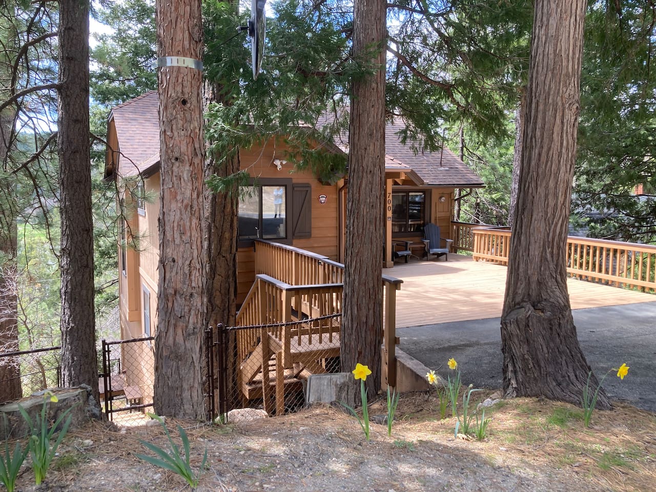 Fenced in yard for dogs.