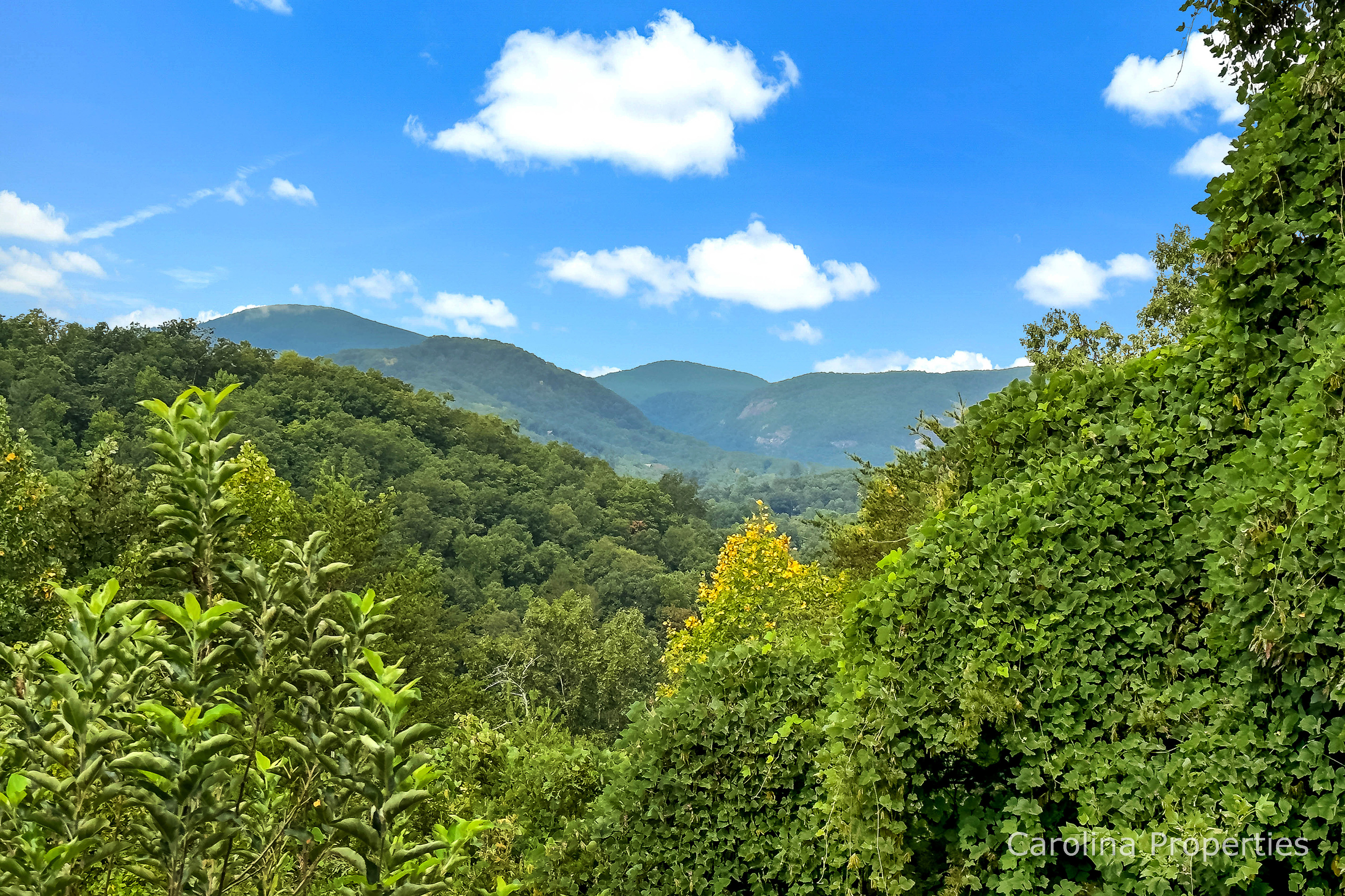 Juve Cabin — Lake Lure, NC — vacation rental