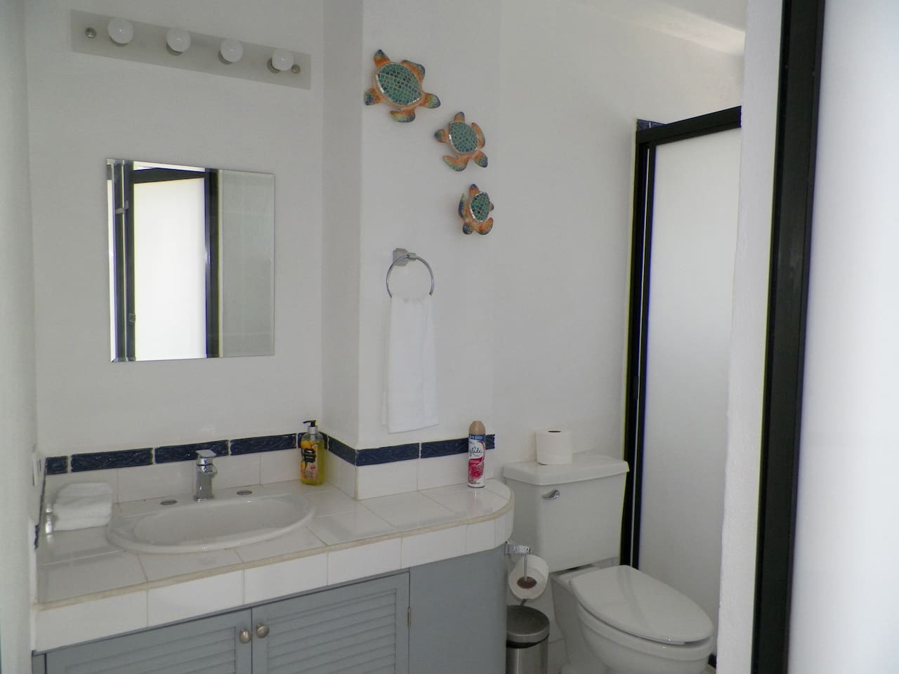 Main bedroom bathroom