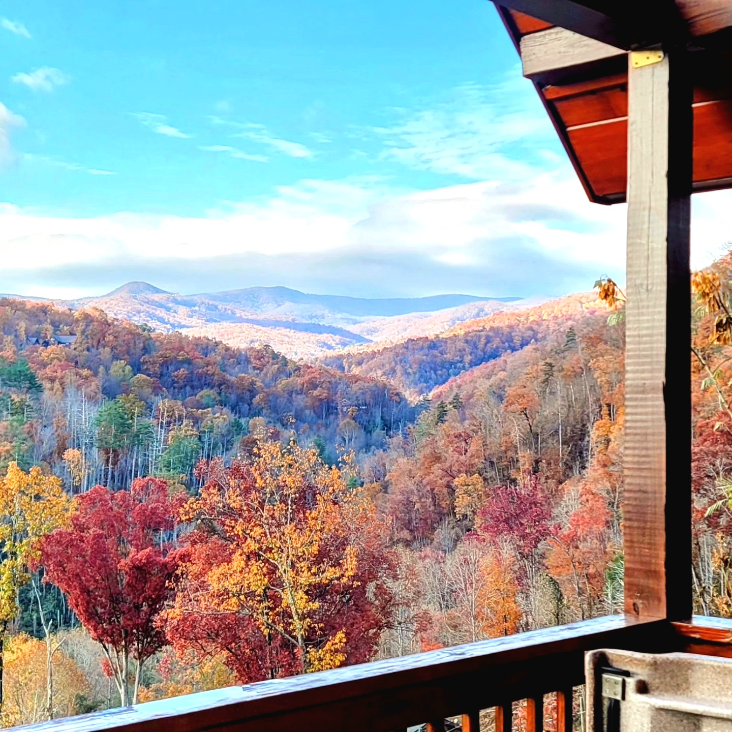 Take Me Away Fall 🍂