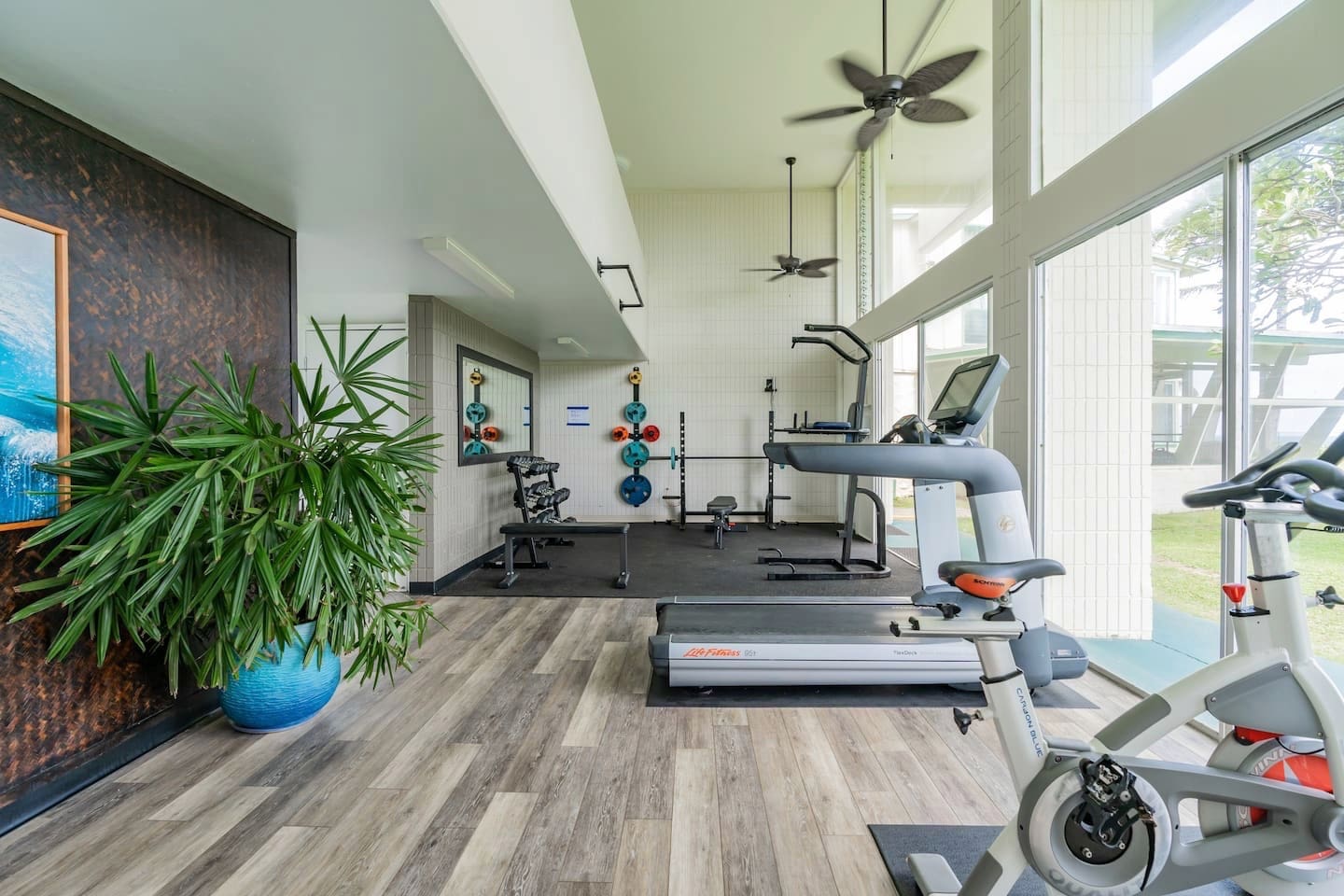 Gym