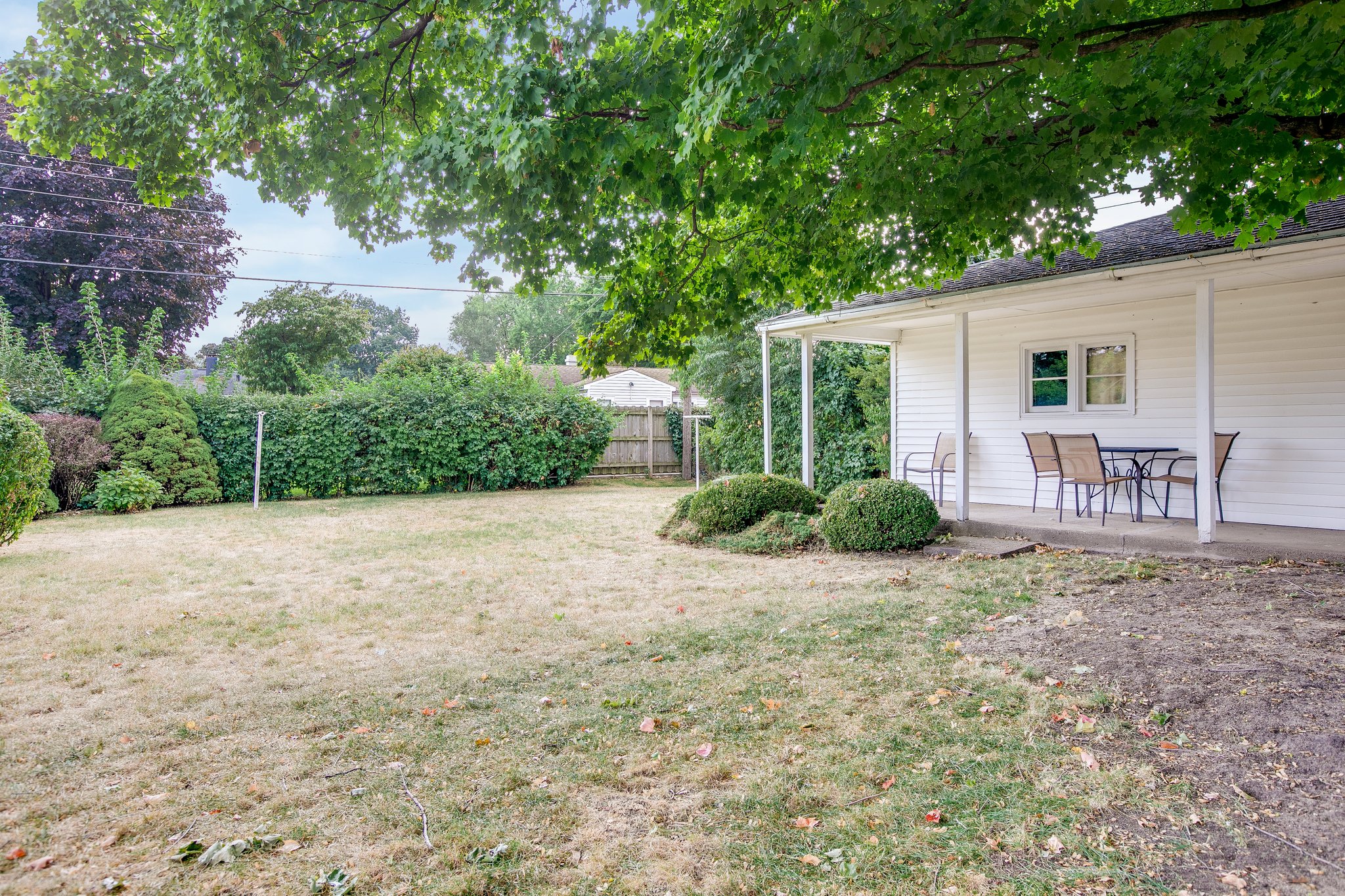 Backyard