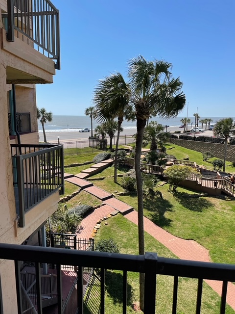 Birds in Paradise Amazing Views-5 Beds 3