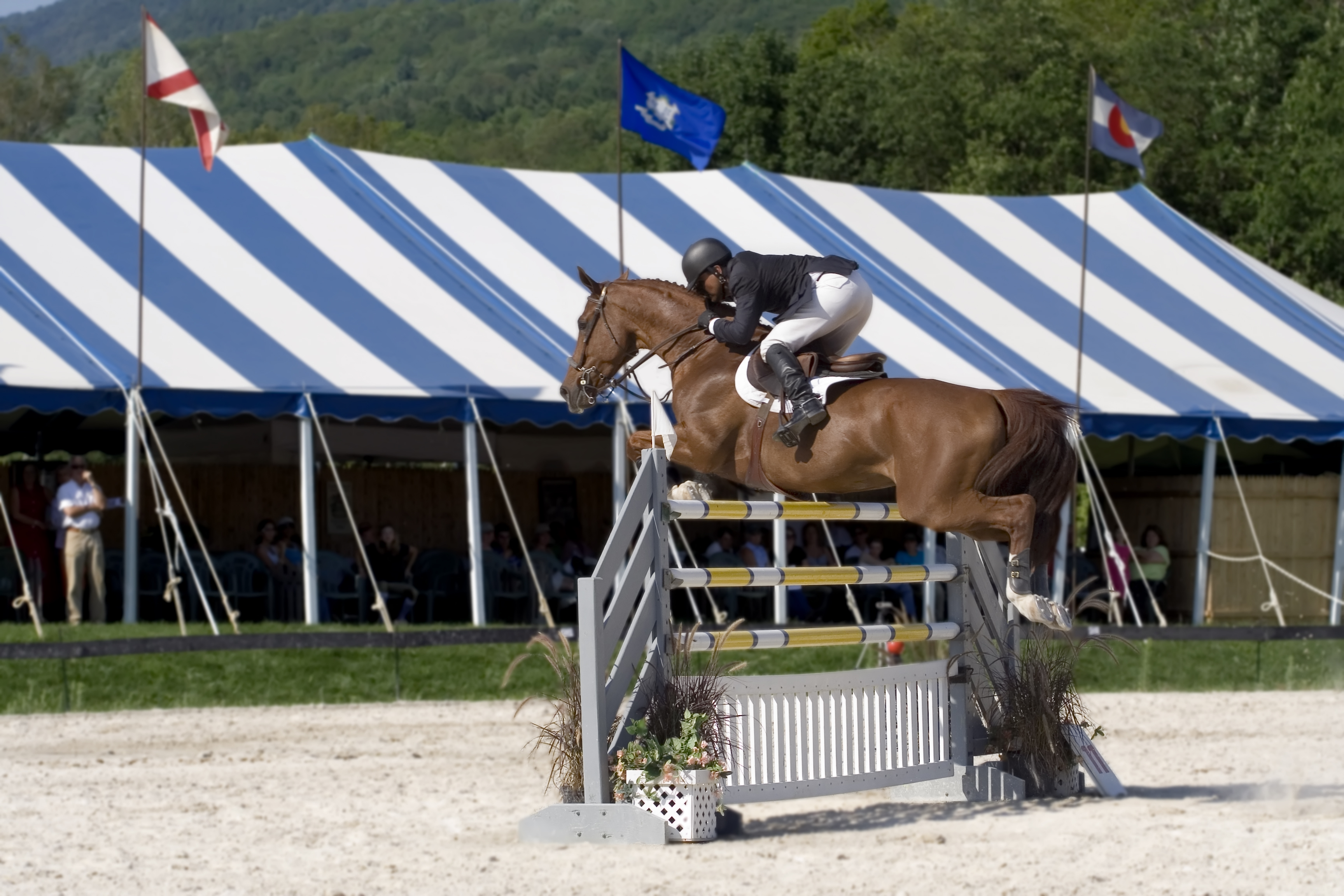 Vt Summer Horse Show Minutes away