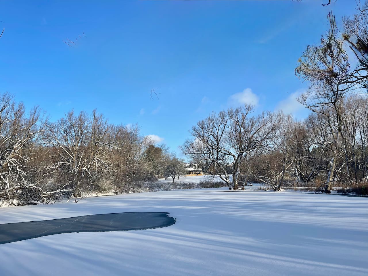 Frozen pond with house in background.