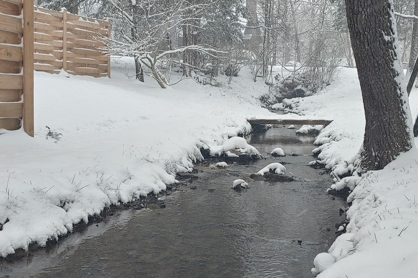 Small back yard stream- year-round. 